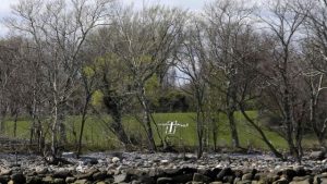 NUEVA YORK: Tormenta desentierra un cementerio con un millón de muertos NUEVA YORK: Tormenta desentierra un cementerio con un millón de muertos
