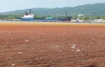 BARAHONA: Algas llenan playas