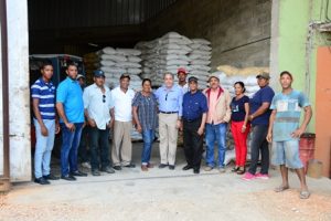 Productores de arroz del Bajo Yuna trabajan para mejorar la calidad 