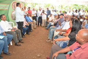 SDN: Gobierno financiará siembra de cacao, plátano, zapote y pan de fruta