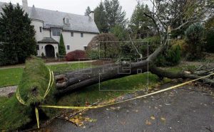 Dos muertos y miles sin energía eléctrica por tormenta Dos muertos y miles sin energía eléctrica por tormenta