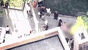 Niña de 11 años salta del piso 16 en aparente suicidio en Harlem