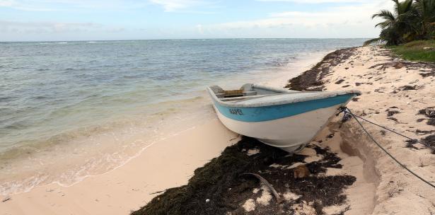 Detienen a 5 dominicanos y uno de EU en viaje ilegal a isla Saint John imagen