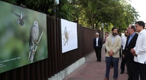 INICIA crea conciencia aves endémicas en exposición fotos INICIA crea conciencia aves endémicas en exposición fotos