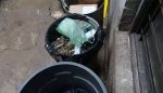 NUEVA YORK: Hallan dos bebés en basura