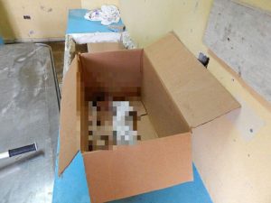 BARAHONA: Muere otro niño en el Jaime Mota