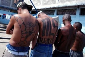 EU: La Casa Blanca advierte sobre «animales violentos» de la MS-13