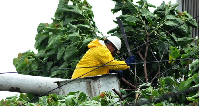 Lluvias causan averías en circuitos en el Este; afectan 82,000 usuarios imagen