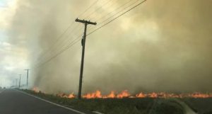 Incendios afectan cañaverales en Hato Mayor y San Pedro de Macorís Incendios afectan cañaverales en Hato Mayor y San Pedro de Macorís