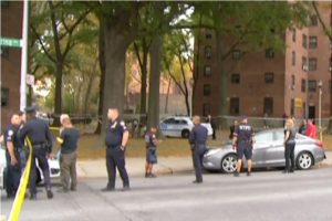 Arrestan 20 pandilleros en complejos viviendas Bronx