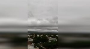 SANTIAGO: Ventarrón derriba árboles y daña viviendas