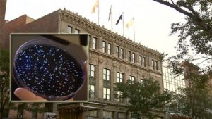 NUEVA YORK: Se reportan 18 casos y un muerto por legionelosis