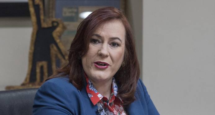 Ministra de la Mujer pide asignar el 50% para ese sector en Ley Partidos imagen