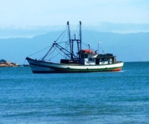 Bahamas detiene 46 dominicanos por pescar ilegalmente Bahamas detiene 46 dominicanos por pescar ilegalmente