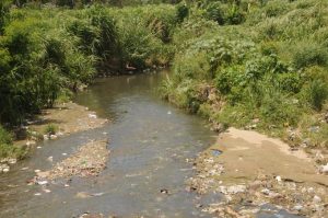 DM aprueba 664 millones de pesos para rescate del río Yaque del Norte