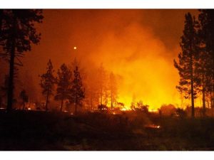 CALIFORNIA: Cinco muertos y 38.000 personas evacuadas por incendio CALIFORNIA: Cinco muertos y 38.000 personas evacuadas por incendio