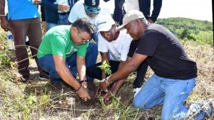 Clubes de Leones sembrarán árboles en América Latina y la RD Clubes de Leones sembrarán árboles en América Latina y la RD