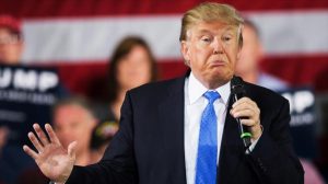 EEUU: Arizona y Florida marcan legislativas, un «referéndum» a Trump EEUU: Arizona y Florida marcan legislativas, un «referéndum» a Trump