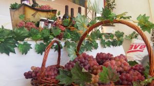 NEIBA: Entidades se unen para relanzar desarrollo de la viticultura
