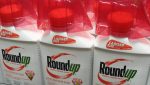 Histórica condena a Monsanto por su herbicida con glifosato en EEUU