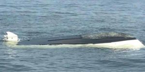 Una ballena vira un bote en costa de Nueva Jersey