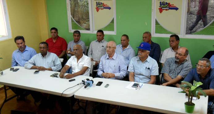 Agricultura inicia compra de bananos en Línea Noroeste y Azua imagen