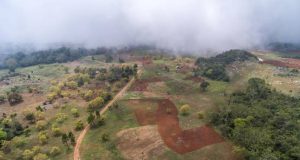 Diócesis Barahona denuncia cultivo aguacates en la Sierra de Bahoruco Diócesis Barahona denuncia cultivo aguacates en la Sierra de Bahoruco