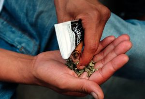 NY se prepara para legalizar consumo marihuana NY se prepara para legalizar consumo marihuana