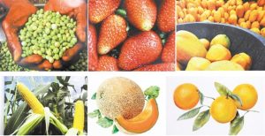 NEIBA: Feria busca inviertan en la provincia