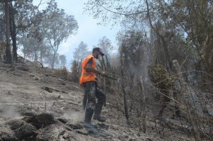 Tres haitianos presos por fuegos forestales en Santiago