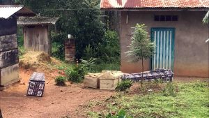 EL CONGO: Un nuevo brote de ébola afecta a dos provincias EL CONGO: Un nuevo brote de ébola afecta a dos provincias