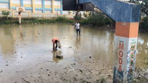 LOS ALCARRIZOS: Eliminan criadero del mosquito transmite la malaria