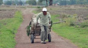 PUERTO RICO: Múltiples sectores se recuperan a medias a un año de María