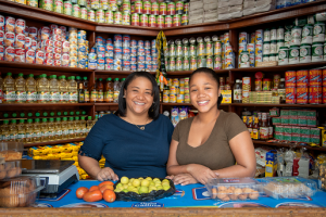 CND presenta programa de capacitación colmaderos CND presenta programa de capacitación colmaderos