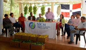MICM anuncia asistencia para desarrollar productos derivados del banano