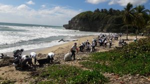 SAN CRISTOBAL: TDC retira toneladas de basura playa de Najayo SAN CRISTOBAL: TDC retira toneladas de basura playa de Najayo