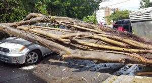 SANTIAGO: Asisten zonas perjudicadas ayer tarde por un fuerte ventarrón SANTIAGO: Asisten zonas perjudicadas ayer tarde por un fuerte ventarrón