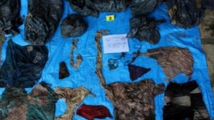 MEXICO: Hallan en Veracruz restos de al menos 166 personas MEXICO: Hallan en Veracruz restos de al menos 166 personas