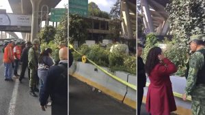 MEXICO: Hallan plantación de marihuana en la vía rápida más importante