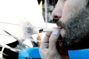 CANADA: El 70 % población apoya o acepta la legalización de la marihuana CANADA: El 70 % población apoya o acepta la legalización de la marihuana