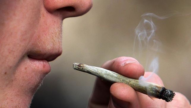 CANADA: Gobierno dice está listo para la legalización de la marihuana imagen