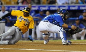 Águilas y Tigres parten como favoritos torneo beisbol profesional dominicano