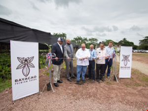 MONTE PLATA: Proyecto siembra 1 millón 200 mil plantas de cacao