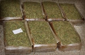 SJM: Ejército incauta 629 libras de marihuana a un ciudadano haitiano SJM: Ejército incauta 629 libras de marihuana a un ciudadano haitiano