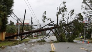 EE.UU: Huracán Michael deja estela de destrucción en Florida y Georgia EE.UU: Huracán Michael deja estela de destrucción en Florida y Georgia