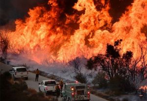 CALIFORNIA: Asciende a 44 la cifra de muertos en gigantesco incendio