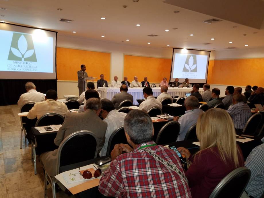 Dicen contrabando de semillas afecta productores y empresarios de la RD imagen