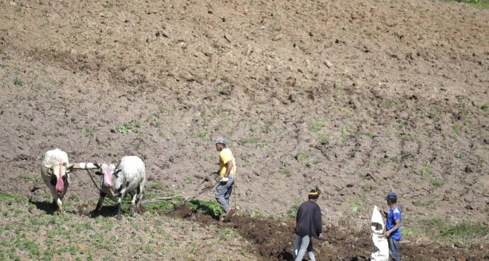 Productores desalojados de Valle Nuevo amenazan con volver a ocupar el lugar imagen