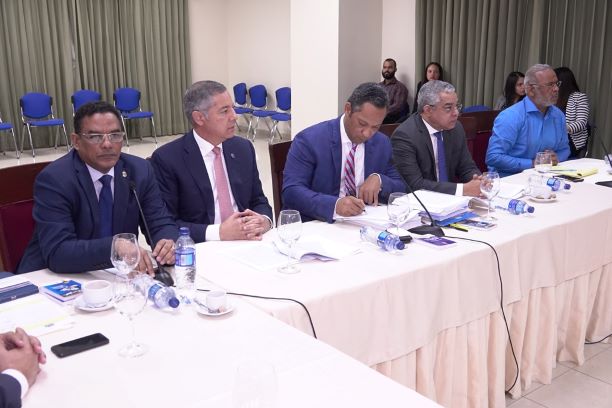 Comisión Bicameral concluye estudio proyecto Ley de Presupuesto imagen