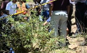 LA VEGA: Encuentran cuatro cráneos humanos en solar baldío de Los Polmos